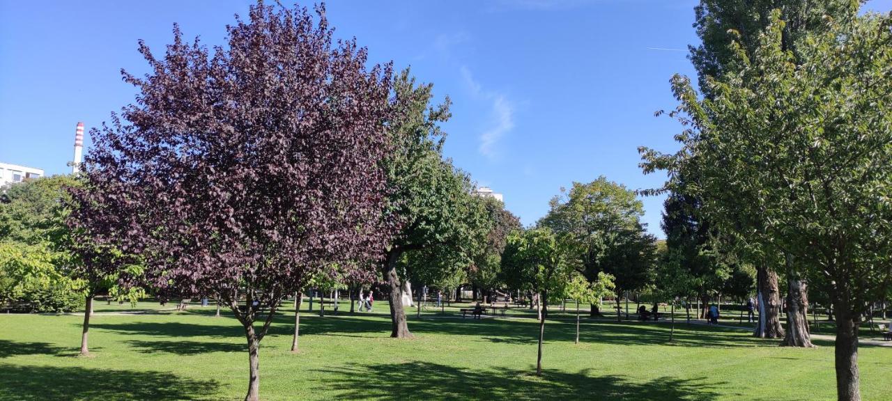 Aurelia'S Comfy Place With Free Parking Zagreb Exterior foto